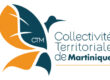 Logo de la Collectivité Territoriale de Martinique (CTM) accompagné d’un visuel symbolisant le Pass Numérique, une subvention dédiée à la digitalisation des entreprises en Martinique.